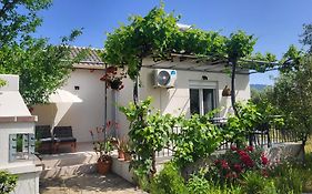 Ioannis Houses - Gemuetliches Ferienhaus Im Olivenhain