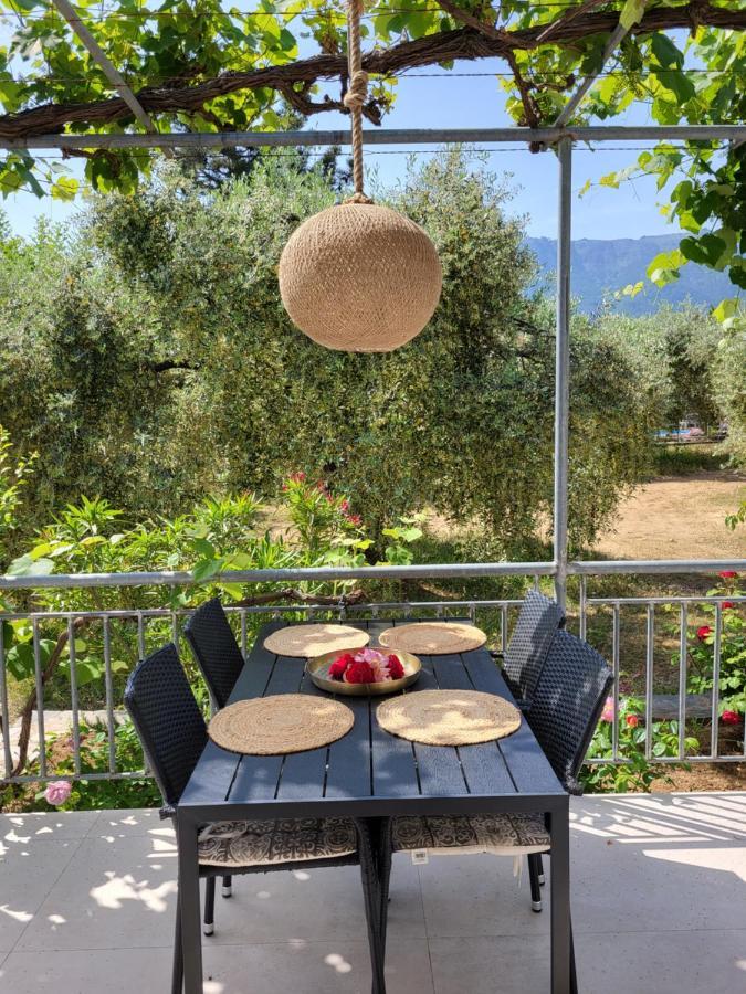 Ioannis Houses - Gemuetliches Ferienhaus Im Olivenhain Σκάλα Ποταμιάς Εξωτερικό φωτογραφία