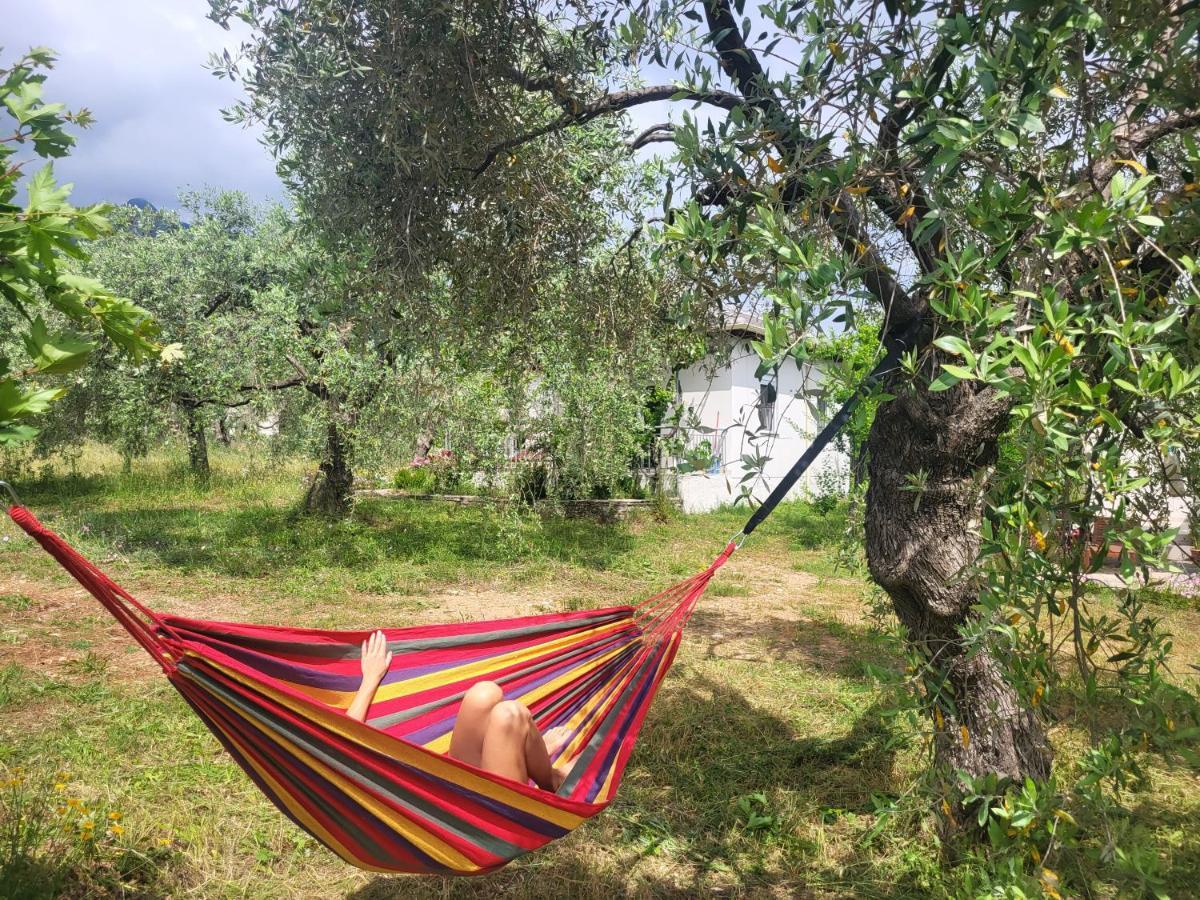 Ioannis Houses - Gemuetliches Ferienhaus Im Olivenhain Σκάλα Ποταμιάς Εξωτερικό φωτογραφία