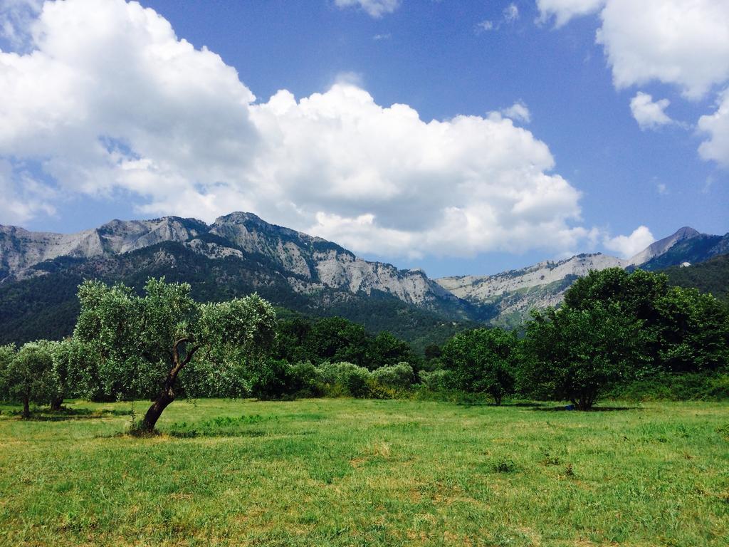 Ioannis Houses - Gemuetliches Ferienhaus Im Olivenhain Σκάλα Ποταμιάς Εξωτερικό φωτογραφία